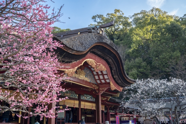 【福岡】春のお宮参りにおすすめの神社