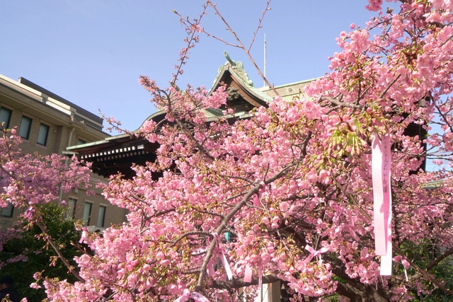 東京都世田谷区