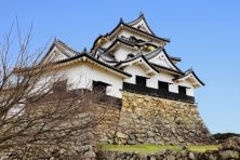 【滋賀県彦根市でお宮参り】おすすめ神社・食事処から産着レンタルのコツまで徹底解説