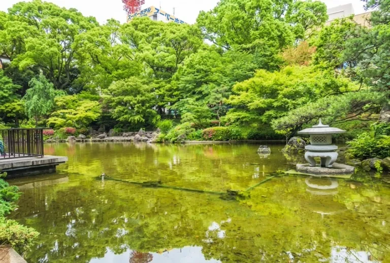 横浜市泉区