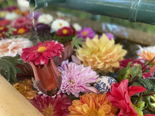 伊和志津神社の花手水