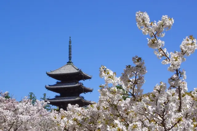 仁和寺