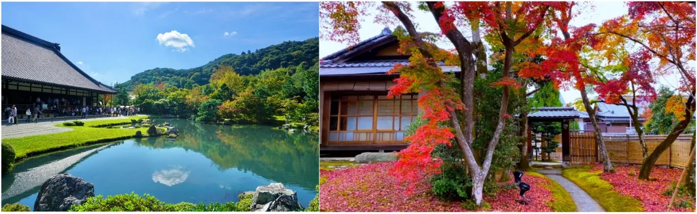 天龍寺観光コース