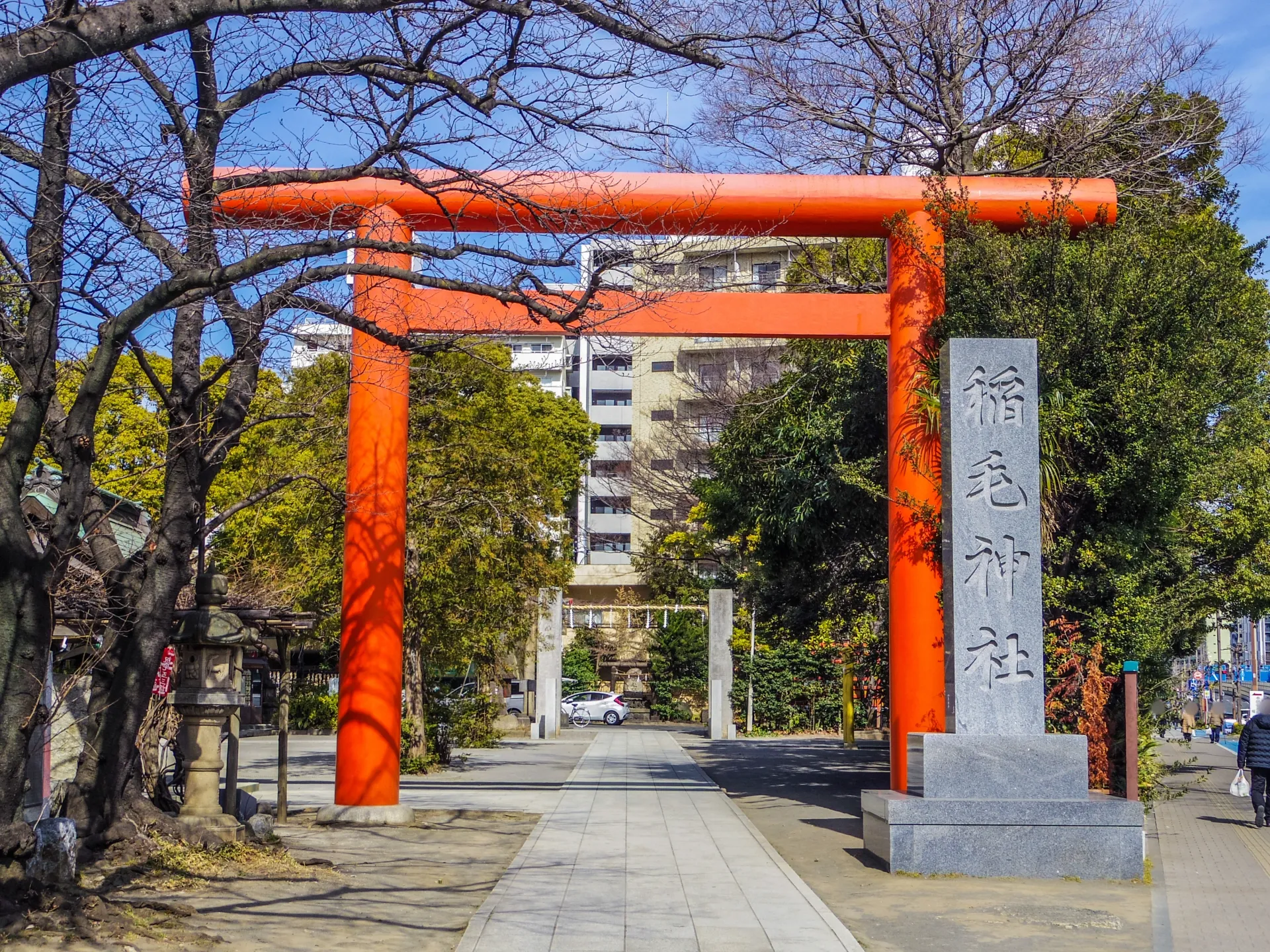 稲毛神社の境内と大銀杏