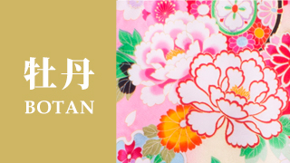 牡丹