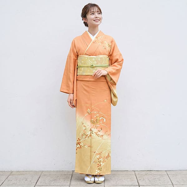 杏色に蝶と萩文の訪問着(袷)／小さめサイズ | 宅配着物レンタルの京都