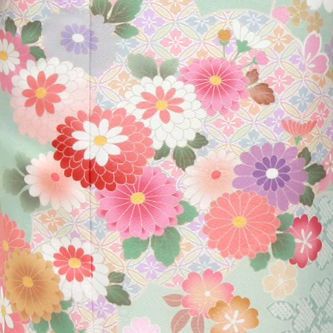 薄緑に雲取、流水とむじな菊の訪問着（袷）（ポリエステル）／柄詳細