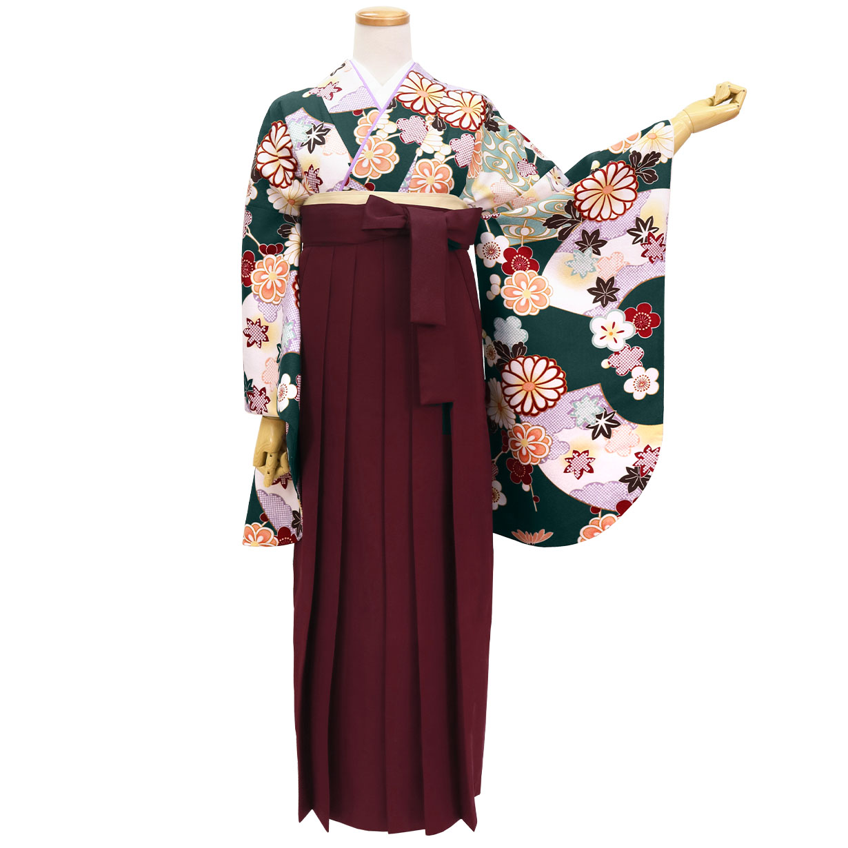 深緑地に地紙と菊・臙脂袴（無地） （二尺袖）／卒業式