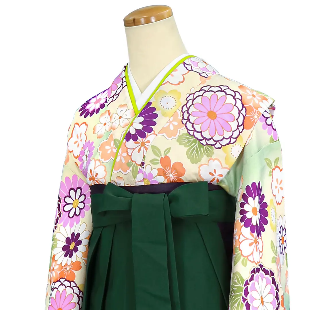 アイボリー地に菊と桜・緑袴（刺繍）（小学生）／卒業式／斜め詳細