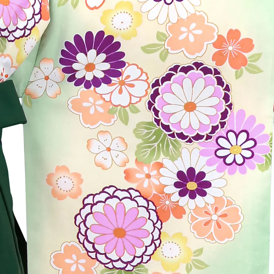 アイボリー地に菊と桜・緑袴（刺繍）（小学生）／卒業式／柄詳細