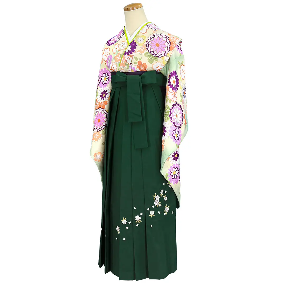 アイボリー地に菊と桜・緑袴（刺繍） （小学生）／卒業式／斜め