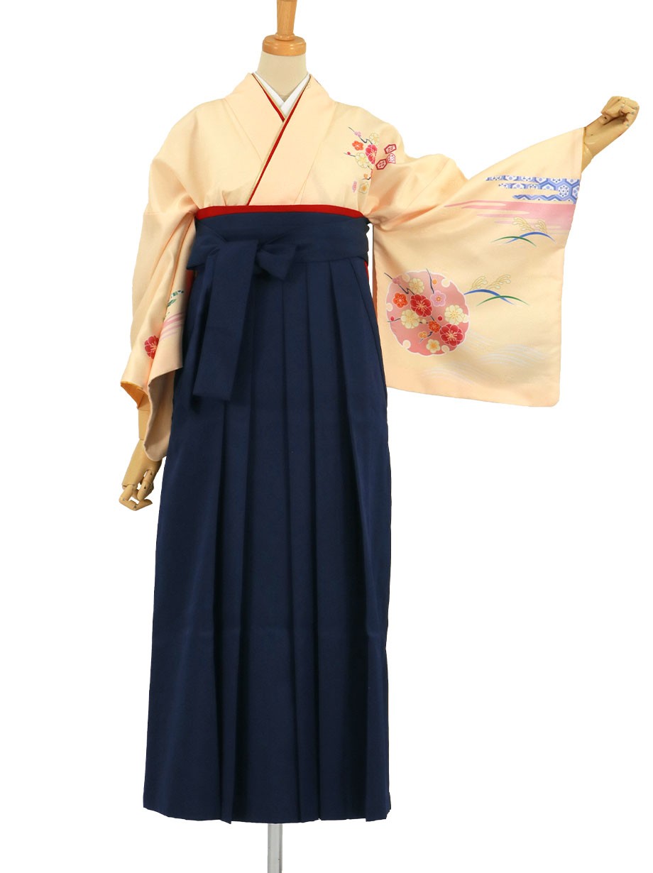 まな　琉装着物カバー確認用 まな様専用 琉装着物カバー確認用 その他