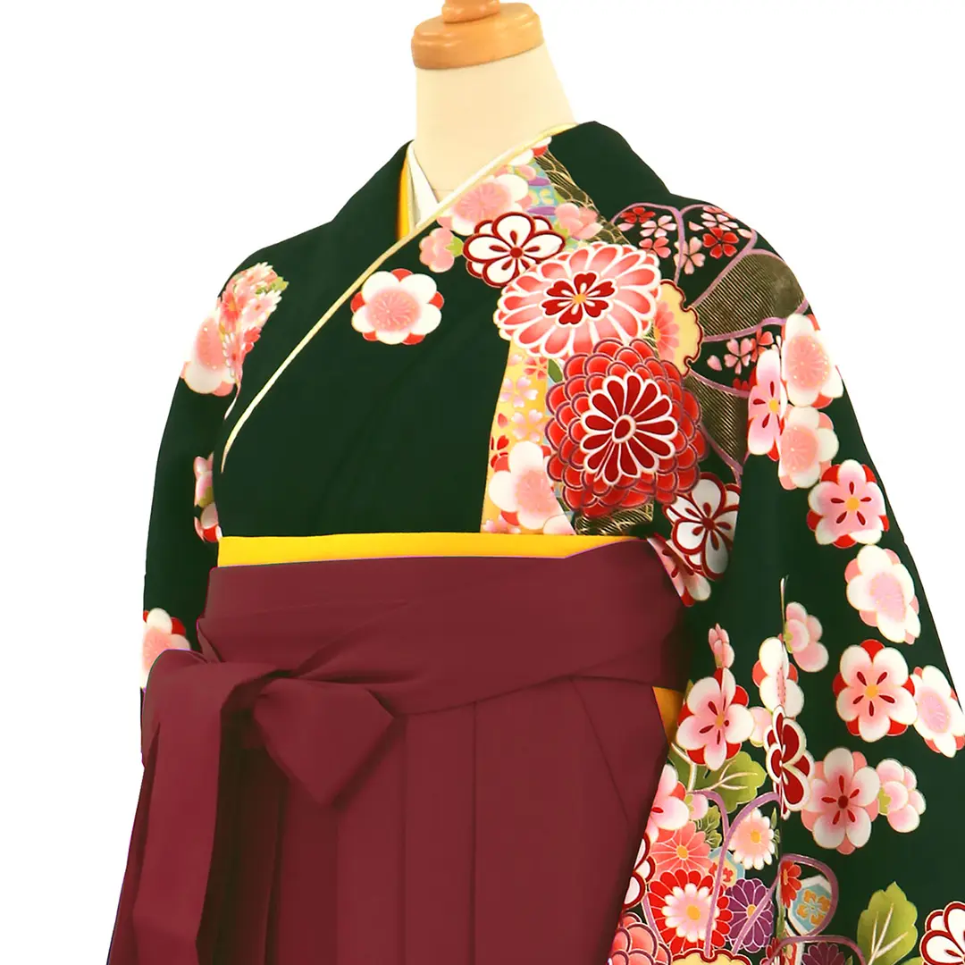 深緑地に菊と桜、臙脂袴（無地）（二尺袖）／卒業式／斜め詳細