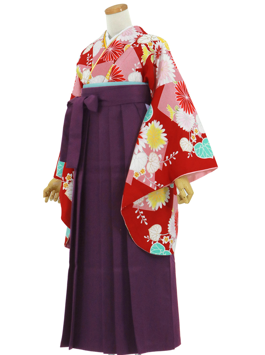 赤地に菊と葵・紫袴（無地） （二尺袖）ワイドサイズ／卒業式 | 宅配 