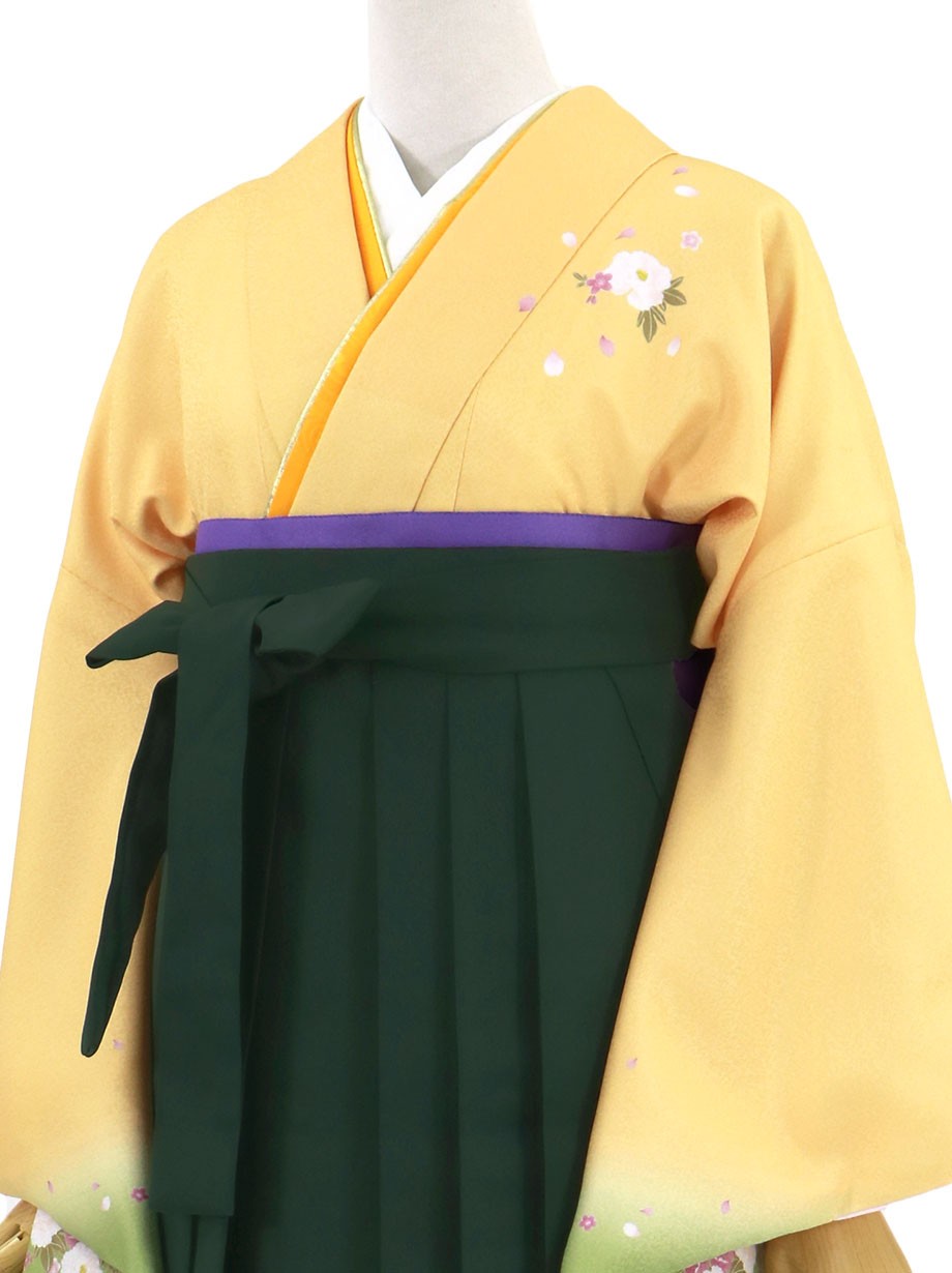 黄色と鶸（ひわ）色地に牡丹・深緑袴（無地）（二尺袖）／卒業式（オリジナルデザイン）