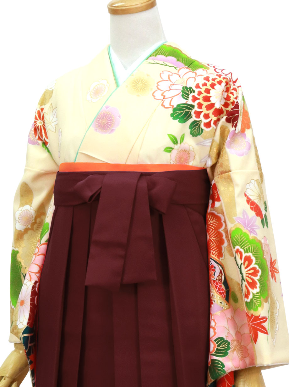 クリーム色地に花と貝桶・臙脂袴（無地）（二尺袖）／卒業式