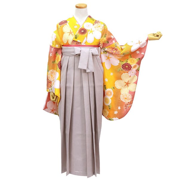黄色地に桜と菊・くすみピンク袴（無地） （二尺袖）／卒業式 | 宅配