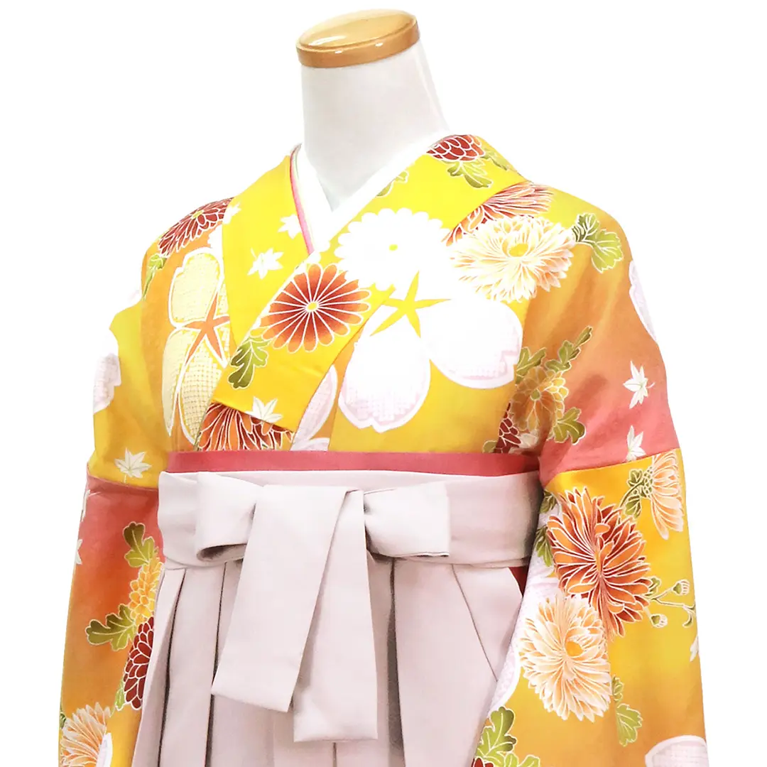 黄色地に桜と菊・くすみピンク袴（無地） （二尺袖）／卒業式 | 宅配