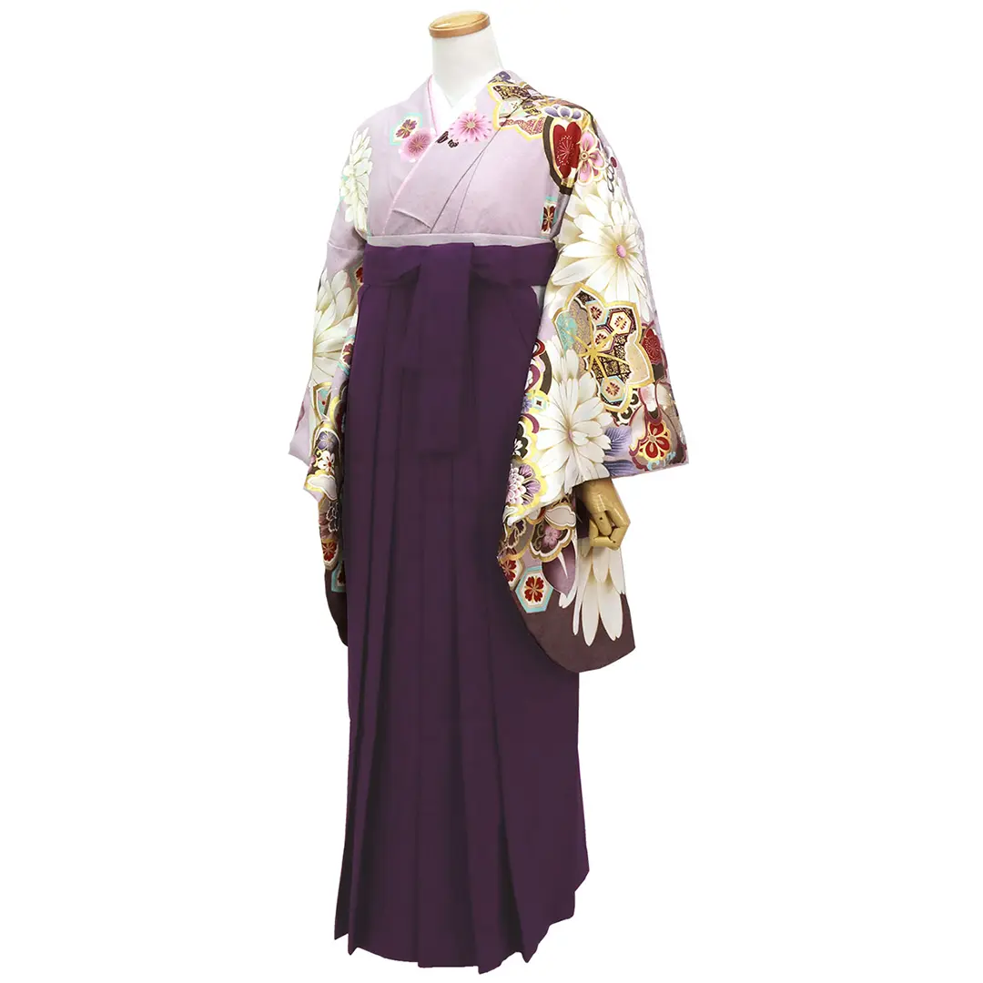 薄紫地にかわり椿と菊・紫袴（無地）（二尺袖）／卒業式／斜め