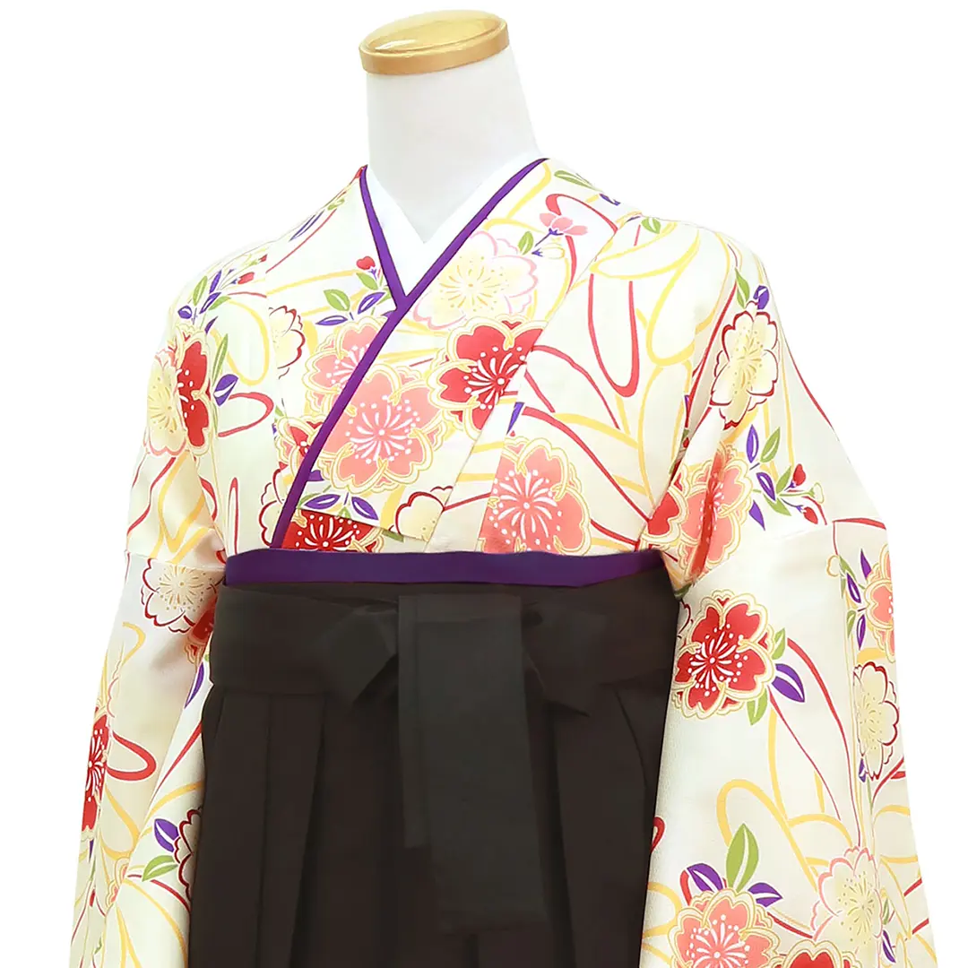 アイボリー地に菊と桜・黒袴（無地） （二尺袖）／卒業式／斜め詳細