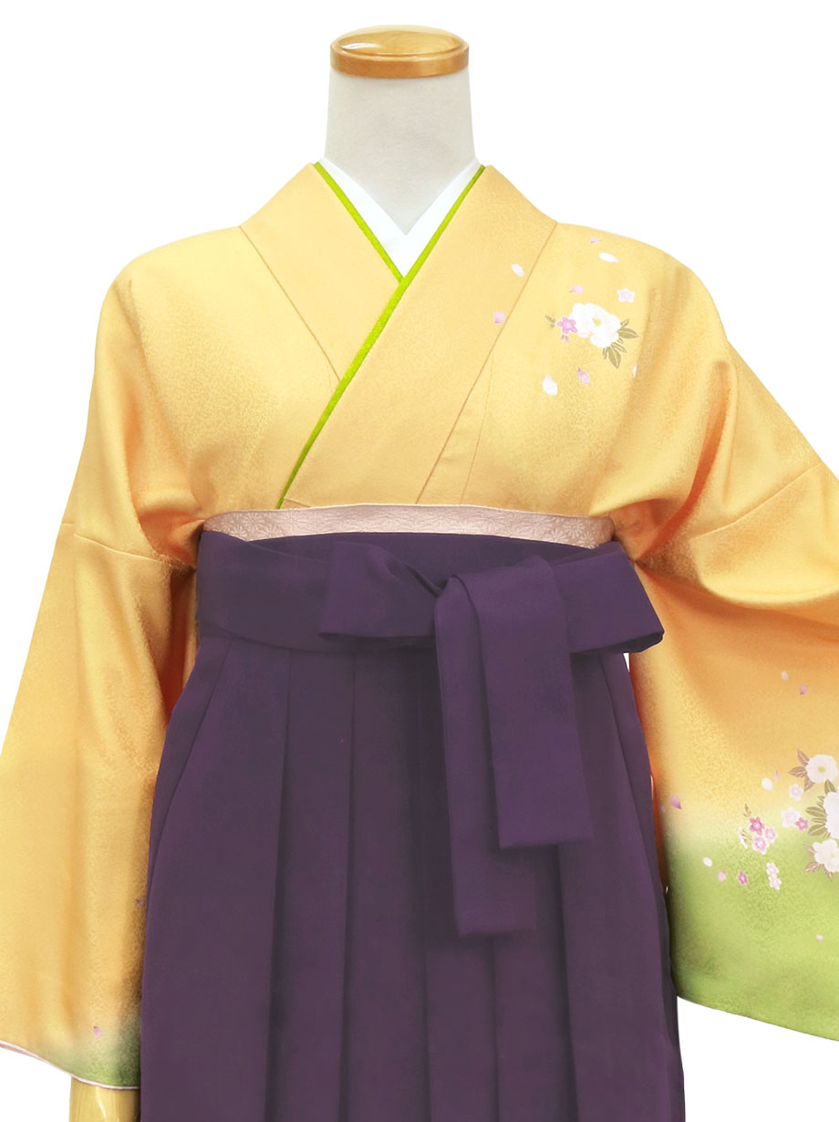 黄色と鶸（ひわ）色地に牡丹・紫袴（無地）（小袖）／卒業式