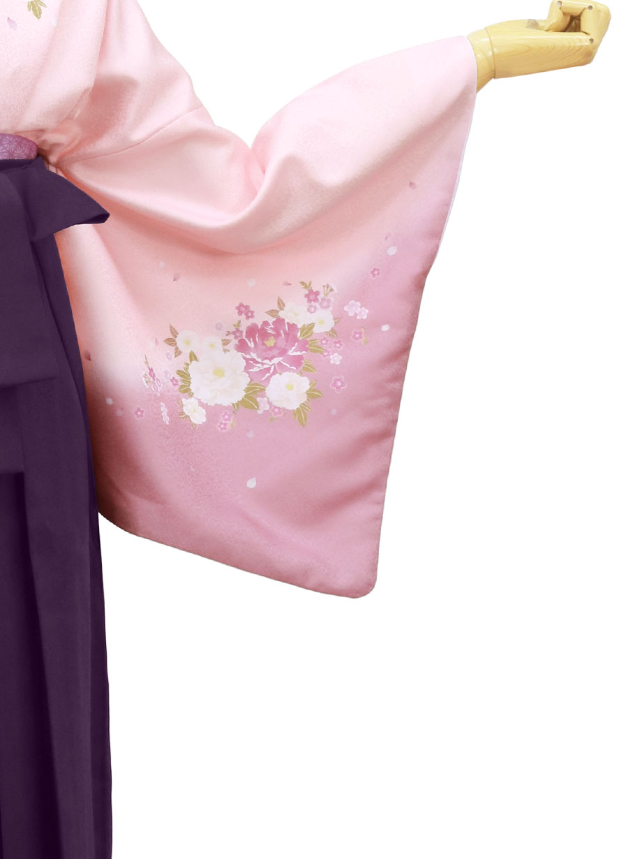 ピンク地に牡丹・紫色袴（無地）／卒業式