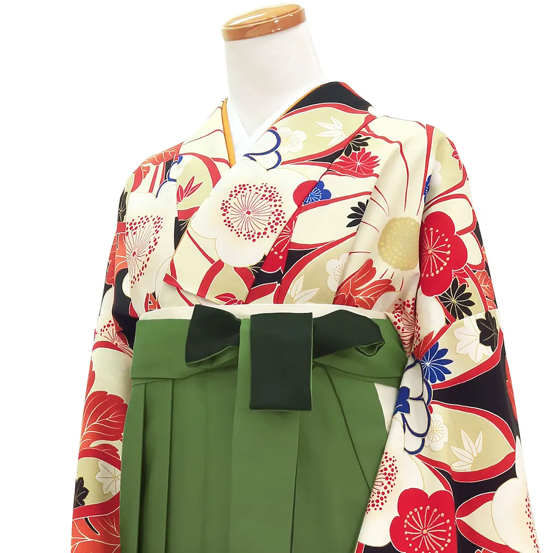 黒地に梅と菊・緑袴（ぼかし）（振袖）／卒業式／斜め詳細