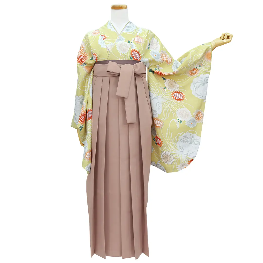 黄色地に菊尽くし・モカ袴（無地） （二尺袖）／卒業式／正面