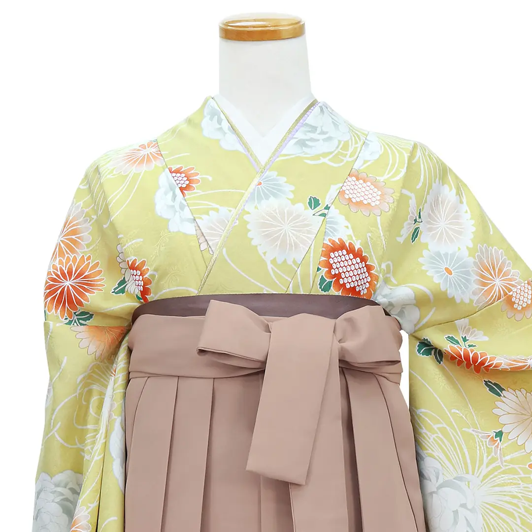 黄色地に菊尽くし・モカ袴（無地） （二尺袖）／卒業式／正面詳細