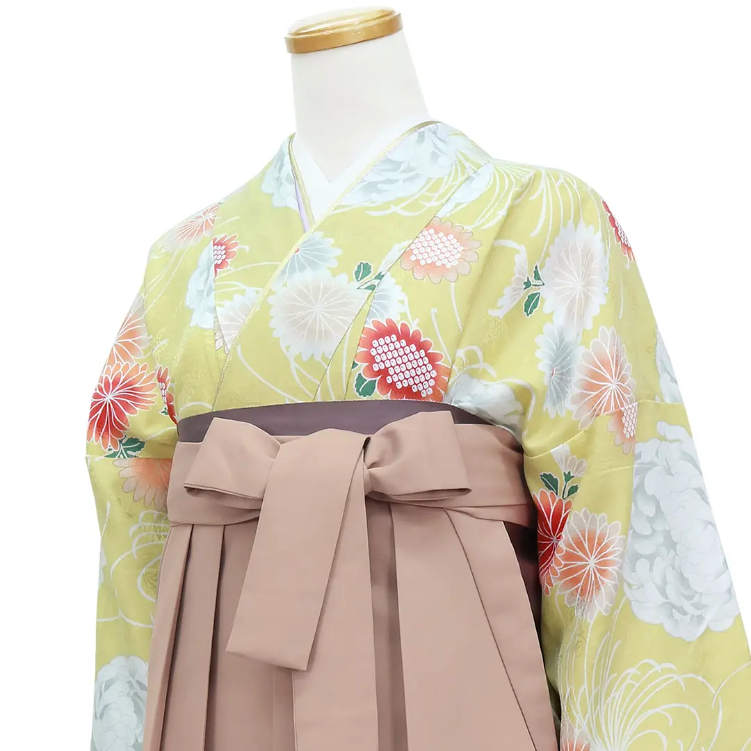 黄色地に菊尽くし・モカ袴（無地） （二尺袖）／卒業式／斜め詳細