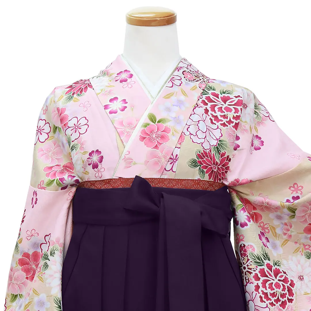 ピンク地に牡丹と菊・紫袴（無地） （二尺袖）／卒業式 | 宅配着物