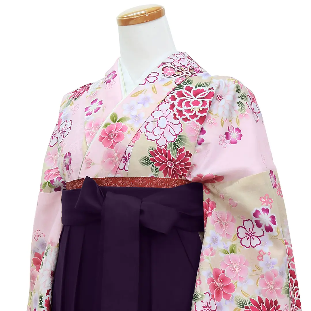 ピンク地に牡丹と菊・紫袴（無地） （二尺袖）／卒業式／斜め詳細