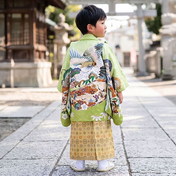 抹茶地に鷹と松、金襴の袴／小さめサイズ／七五三・五歳男の子・袴