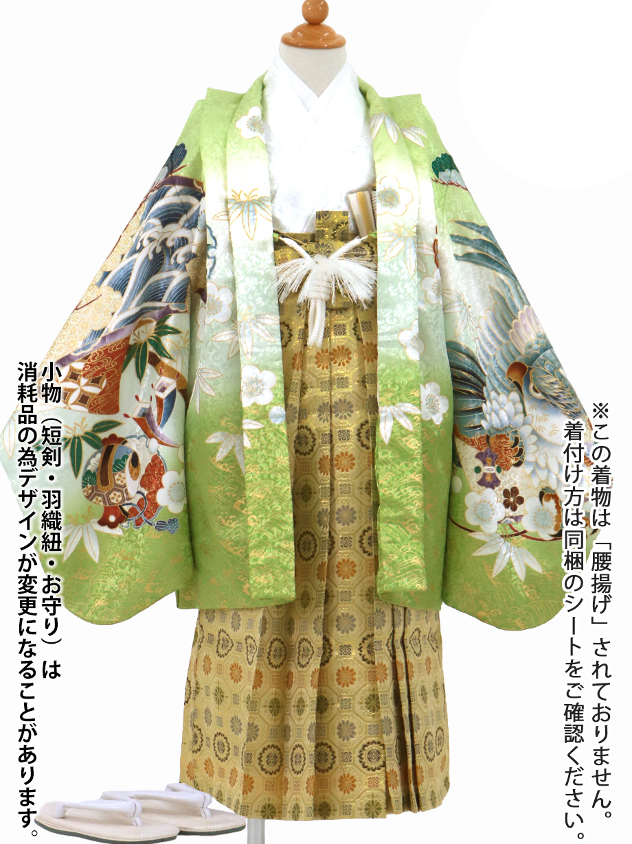 抹茶地に鷹と松、金襴の袴／小さめサイズ／七五三・五歳男の子・袴