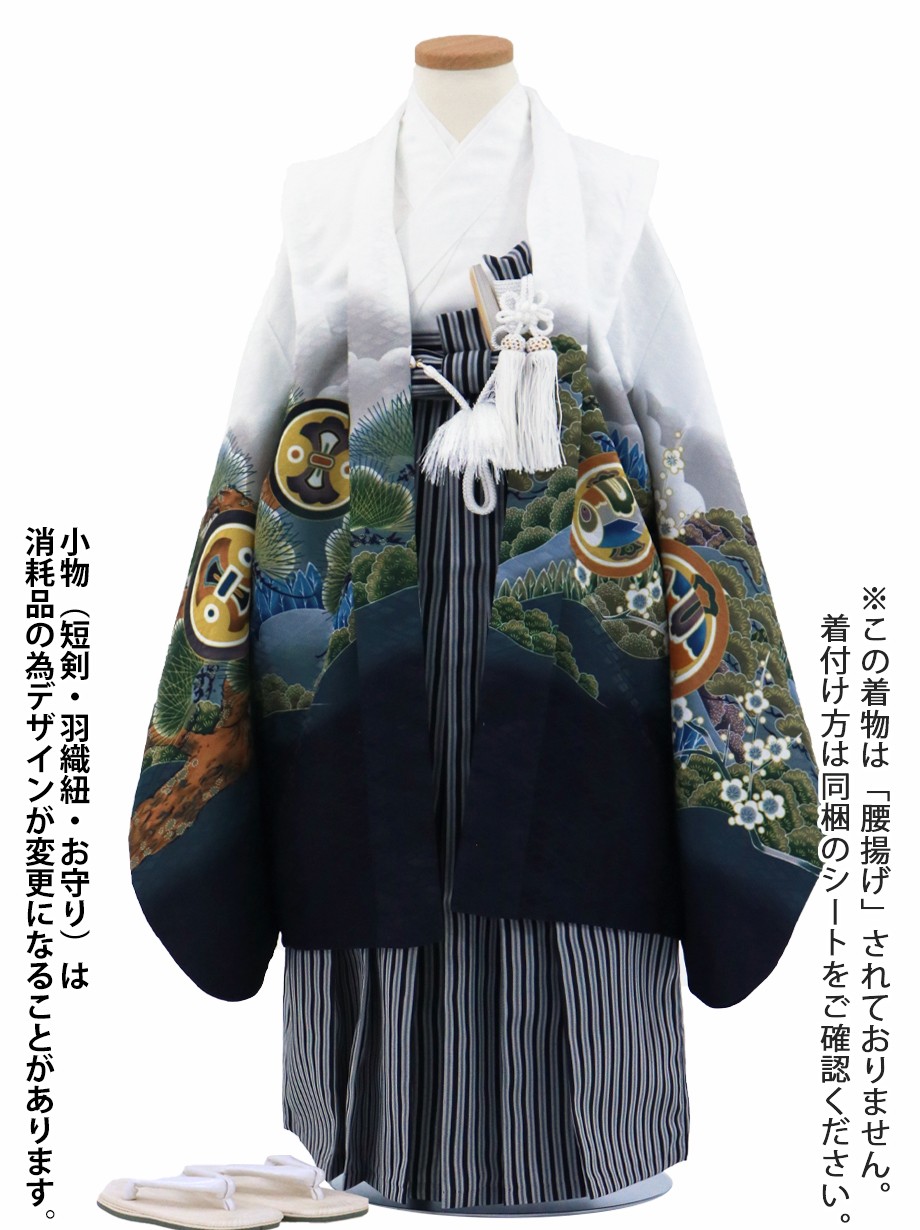 白地に鷹と富士山、黒縞の袴／七五三・五歳男の子・袴 | 宅配着物