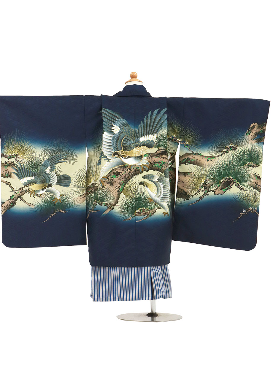 紺地に六羽の鷹、紺縞の袴／七五三・五歳男の子・袴 | 宅配着物