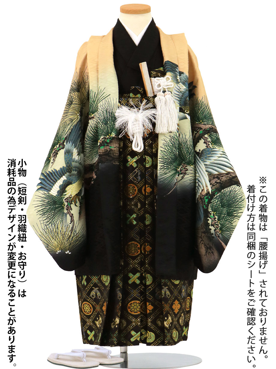 ベージュ地に六羽の鷹、黒の袴／小さめサイズ／七五三・五歳男の子・袴