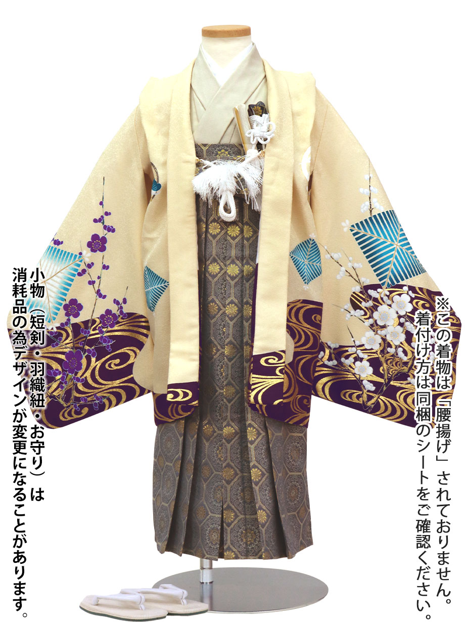 薄黄色地に白鷹と梅、藍鼠の袴／小さめサイズ／七五三・五歳男の子・袴／正面