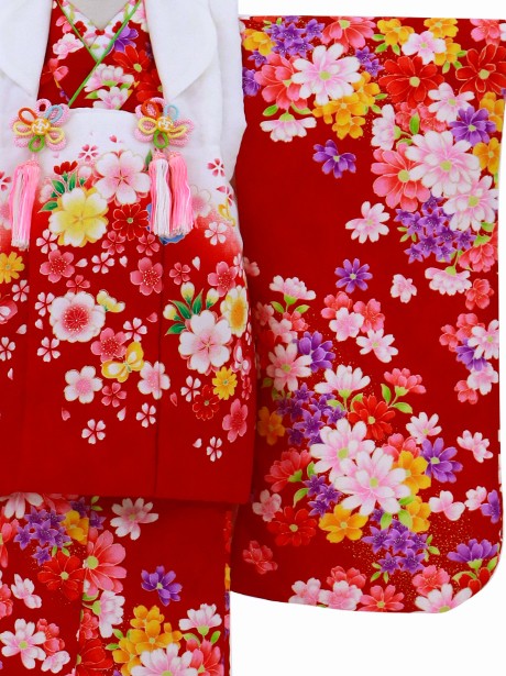 赤地に花尽くしの蝶の被布コートセット／七五三・三歳女の子／袖