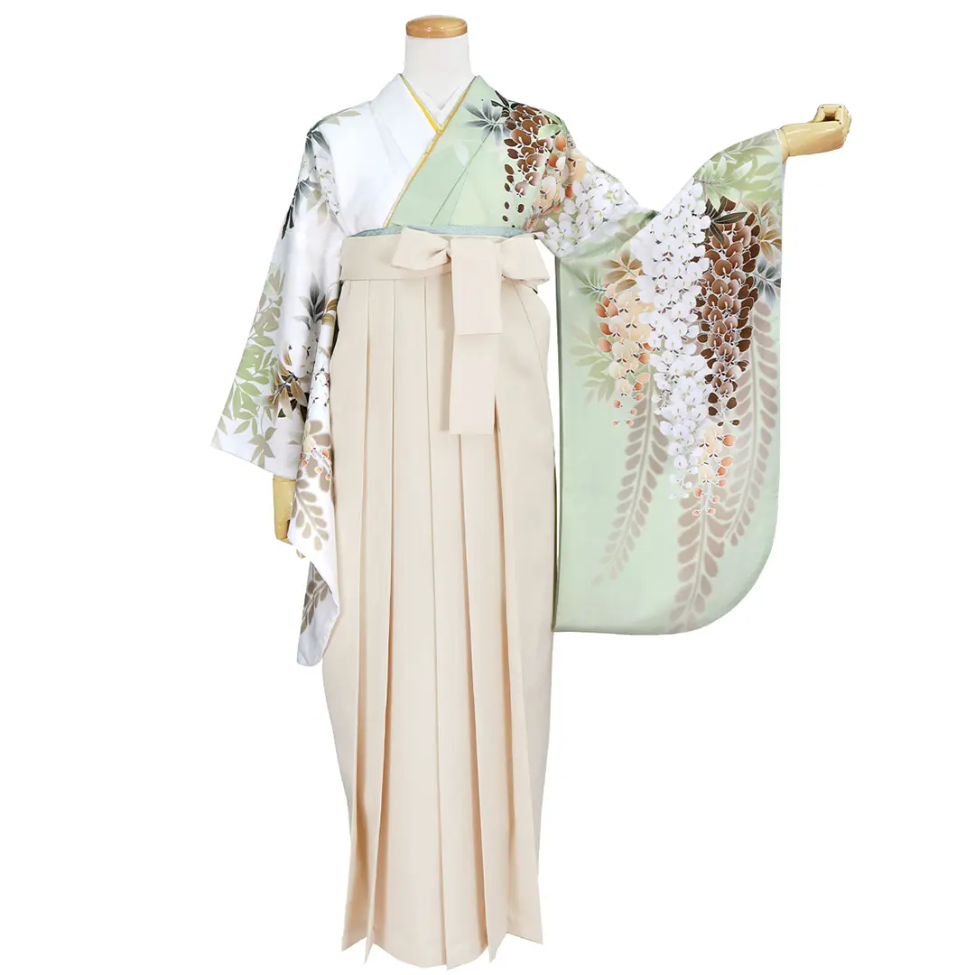 片身替わりの地色に大輪の藤・アイボリー袴（無地） （二尺袖）／卒業式