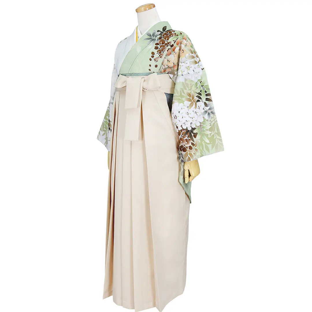 片身替わりの地色に大輪の藤・アイボリー袴（無地） （二尺袖）／卒業式 全身