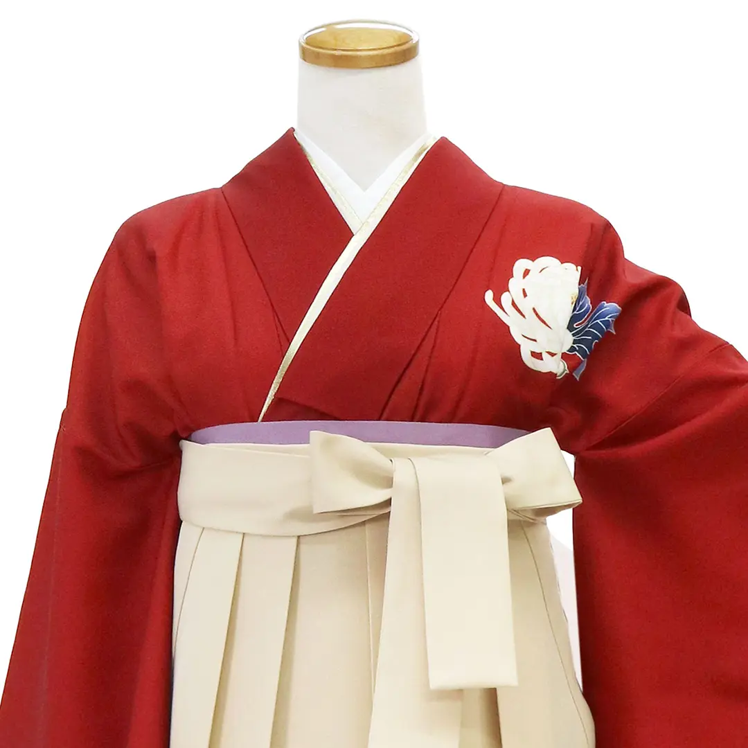 真紅に白菊・アイボリー袴（無地） （二尺袖）／卒業式 バストアップ正面