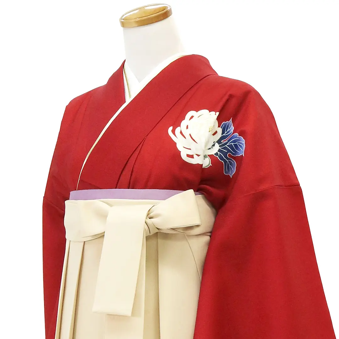 真紅に白菊・アイボリー袴（無地） （二尺袖）／卒業式 バストアップ斜め