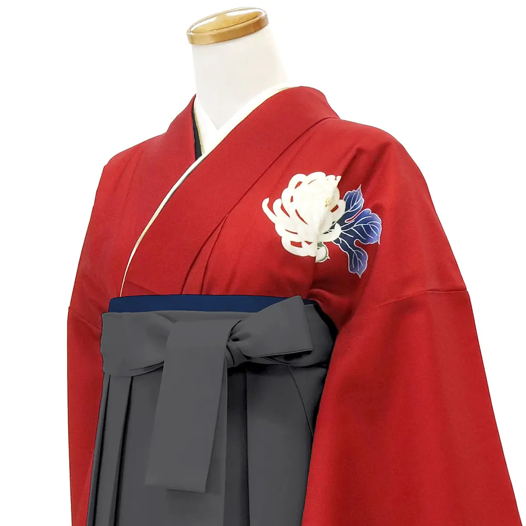 真紅に白菊・墨色袴（無地） （二尺袖）／卒業式