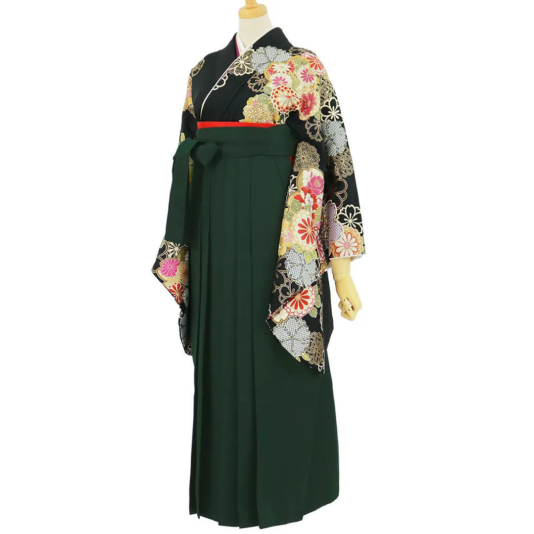 黒地に菊と桜、深緑袴（無地）（二尺袖）／卒業式／斜め