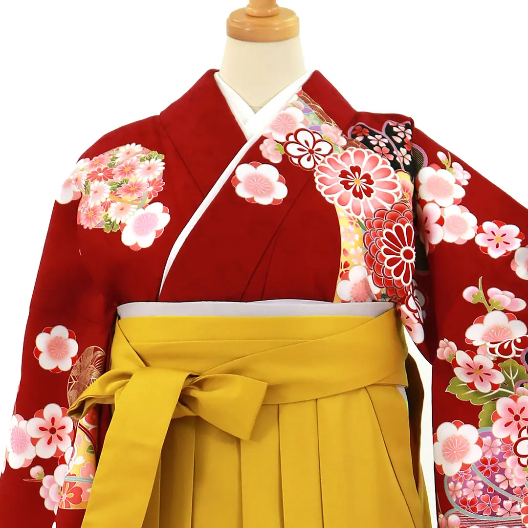 赤地に菊と桜、マスタード袴（無地）（二尺袖）／卒業式／正面詳細