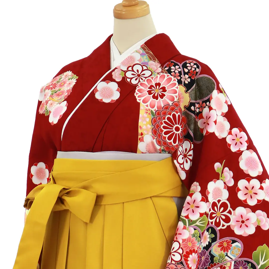 赤地に菊と桜、マスタード袴（無地）（二尺袖）／卒業式／斜め詳細