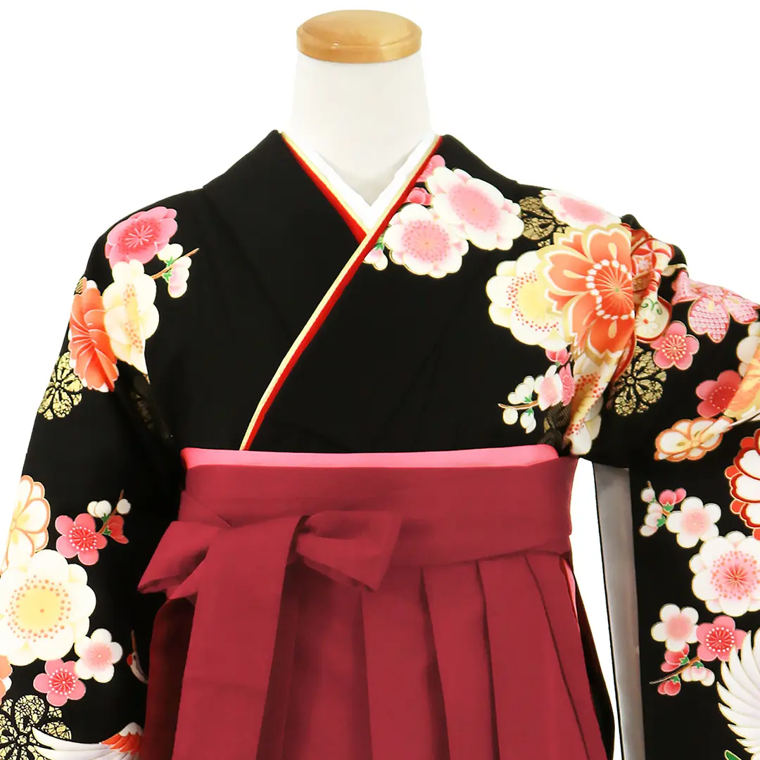 黒地に鶴と桜・臙脂袴（無地） （二尺袖）／卒業式／正面詳細