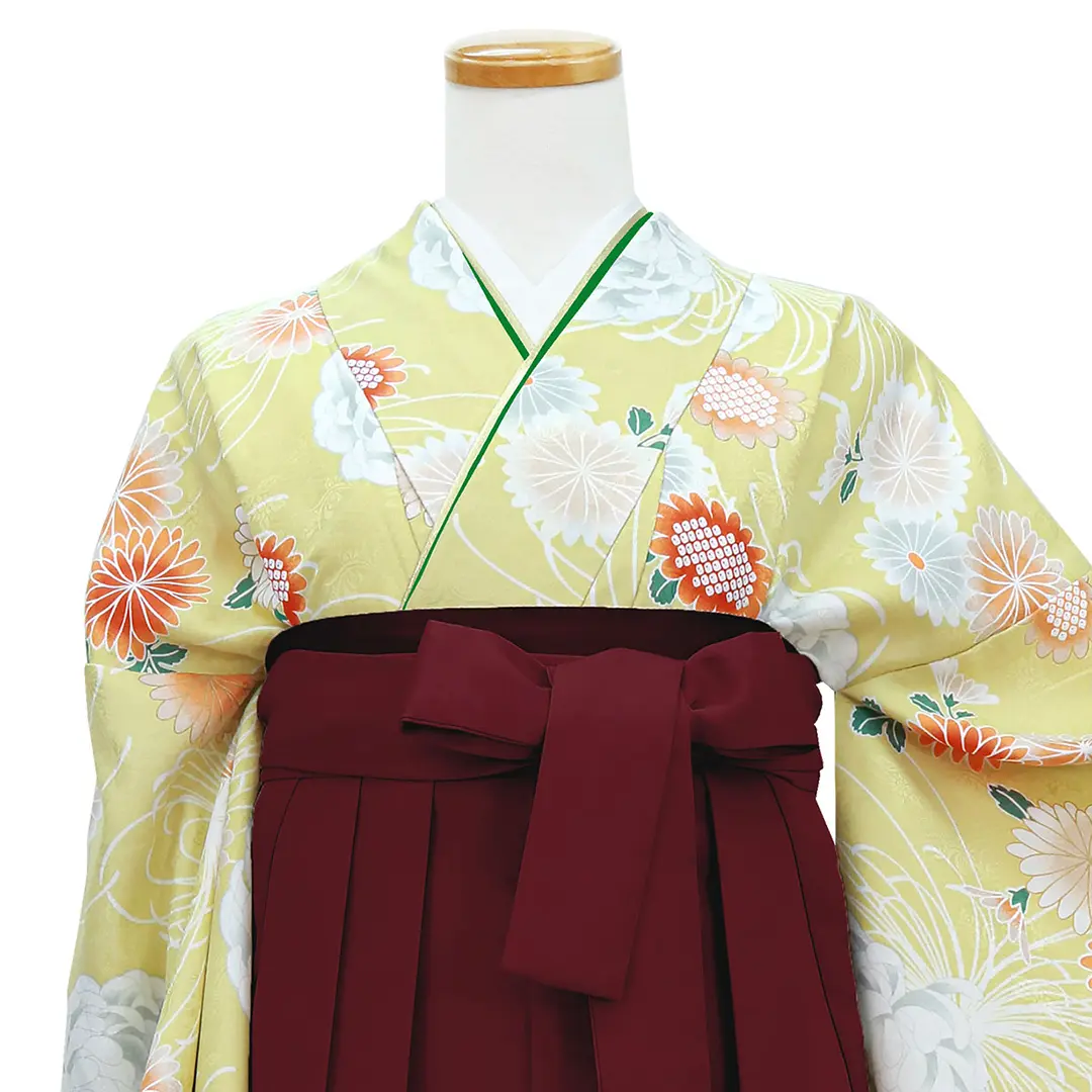 黄色地に菊尽くし・臙脂袴（無地） （二尺袖）／卒業式／正面詳細