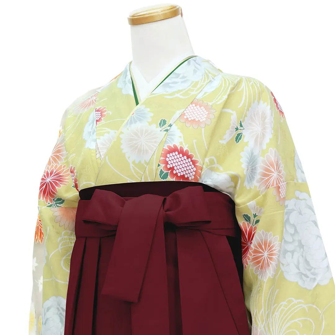 黄色地に菊尽くし・臙脂袴（無地） （二尺袖）／卒業式／斜め詳細